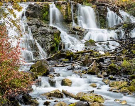 Descriptive alt text