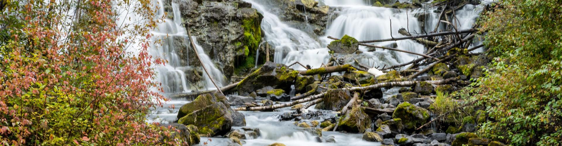 Descriptive alt text